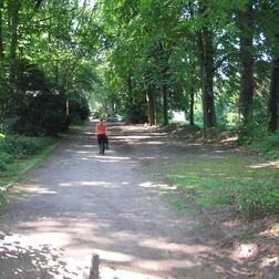 Wunderbare Spazierwege führen durch den kleinen Wald im Dortmunder Hoeschpark. Sie bieten Schatten und eine gesunde Luft.